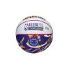Wilson 2025 NBA All Star Mini Ball WZ3020201XB